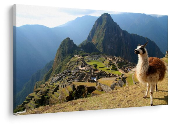Tablou - Lama și Machu Picchu (90x60 cm)