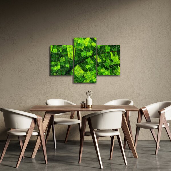 Tablou - Detaliu frunze (90x60 cm)