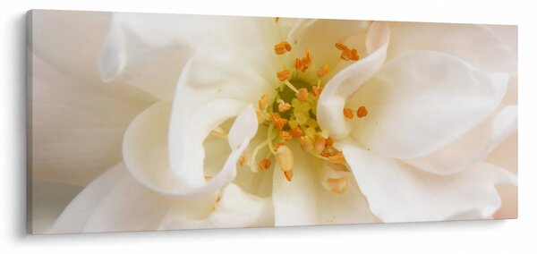 Tablou - Floare (120x50 cm)