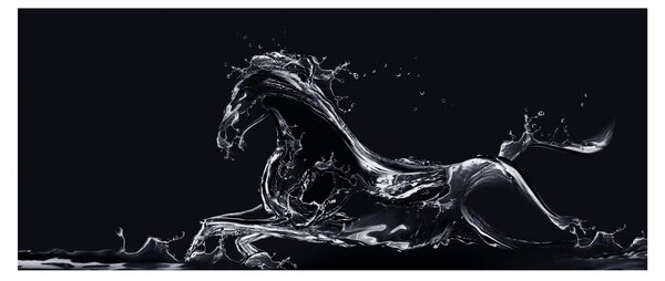 Tablou - Cal și apă (120x50 cm)