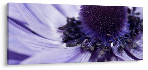 Tablou - Floare mov (120x50 cm)