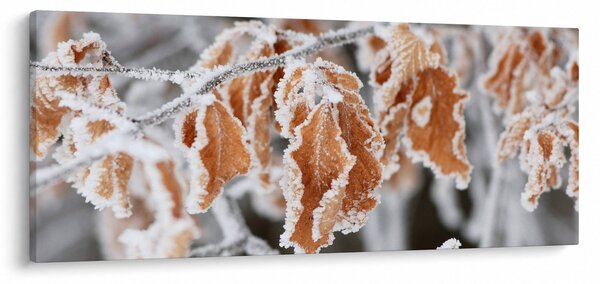 Tablou - Frunze înghețate (120x50 cm)