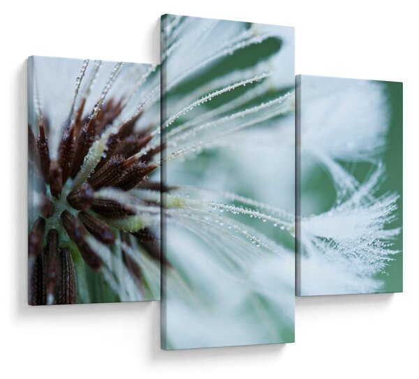 Tablou - Detaliu floare (90x60 cm)