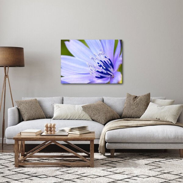 Tablou - Floare (70x50 cm)