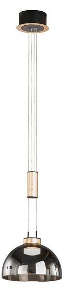 FISCHER & HONSEL Lampă suspendată Avignon 1 bec sticlă fumurie/negru/auriu, reglabil, Gri, Camera de zi / sufragerie, Sticlă, Modern