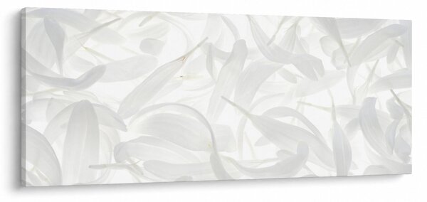 Tablou - Petale de frunze (120x50 cm)