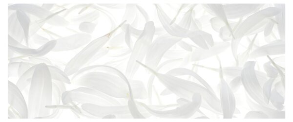 Tablou - Petale de frunze (120x50 cm)