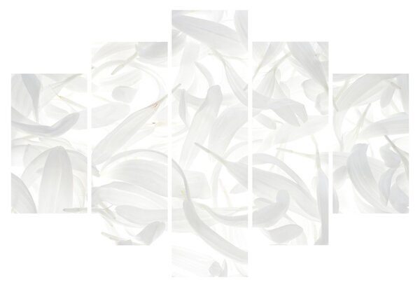 Tablou - Petale de frunze (150x105 cm)