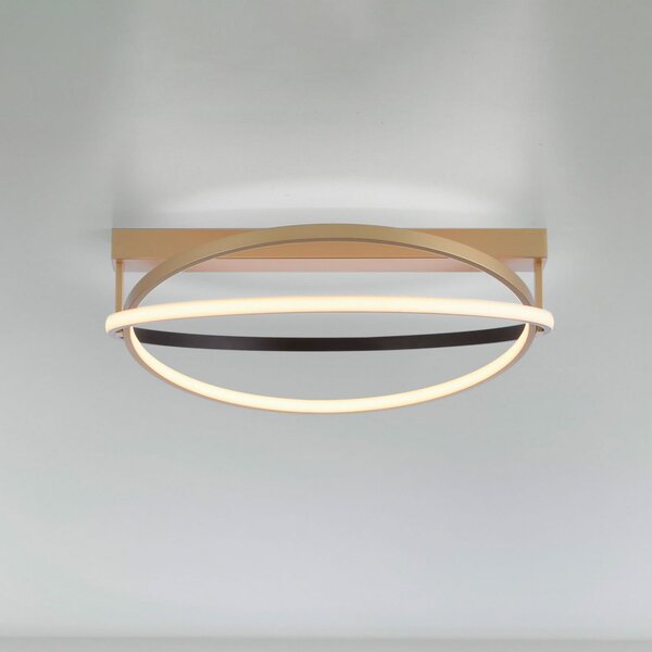Q-Smart-Home Paul Neuhaus Q-Beluga plafonieră LED, alamă, reglabil, Auriu / Alamă, Camera de zi / sufragerie, Metal, Modern