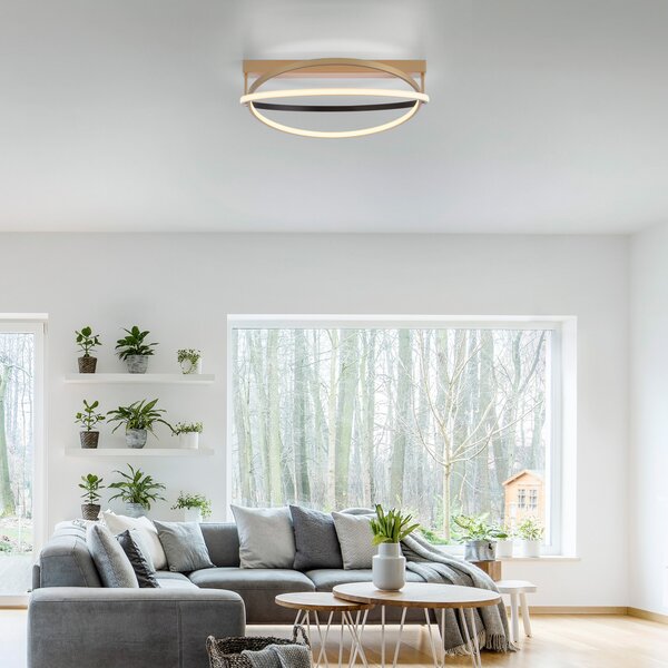 Q-Smart-Home Paul Neuhaus Q-Beluga plafonieră LED, alamă, reglabil, Auriu / Alamă, Camera de zi / sufragerie, Metal, Modern