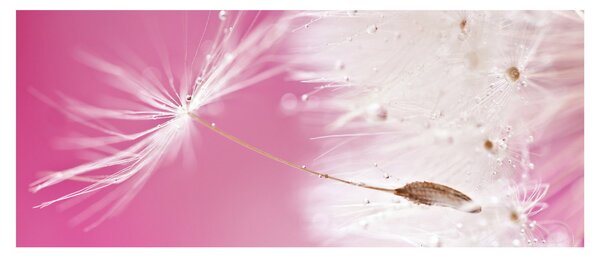 Tablou - Floare macro (120x50 cm)