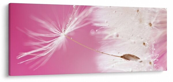 Tablou - Floare macro (120x50 cm)