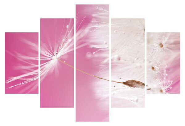Tablou - Floare macro (150x105 cm)