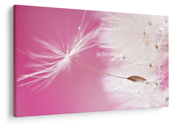 Tablou - Floare macro (90x60 cm)