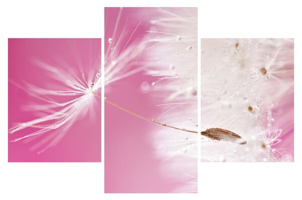 Tablou - Floare macro (90x60 cm)