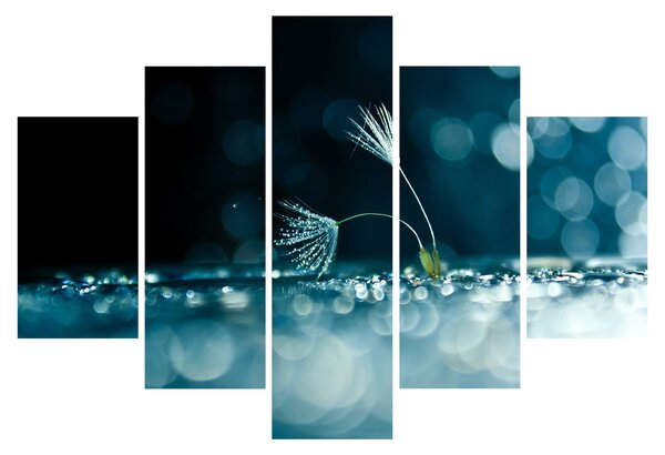 Tablou - Macro (150x105 cm)