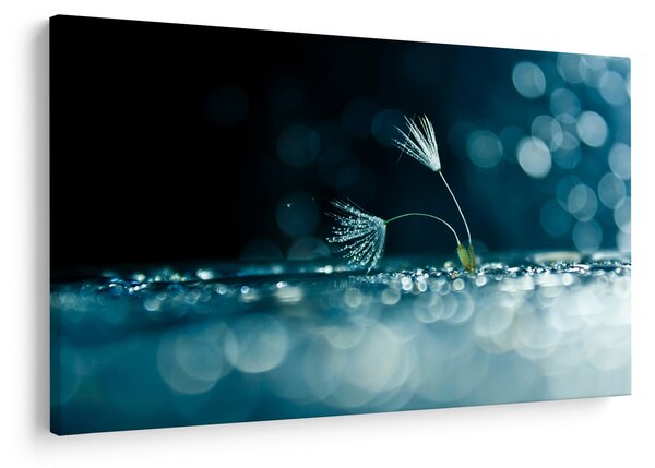 Tablou - Macro (90x60 cm)