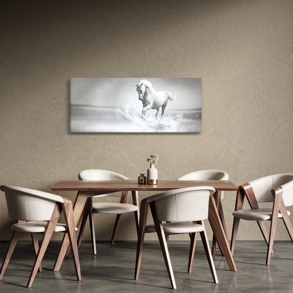 Tablou - Cal alb (120x50 cm)