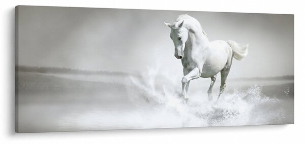 Tablou - Cal alb (120x50 cm)