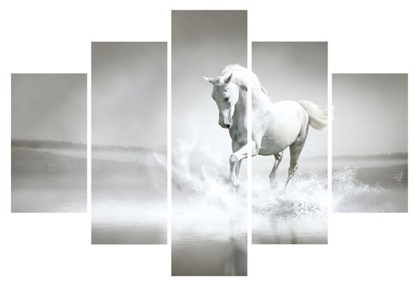 Tablou - Cal alb (150x105 cm)