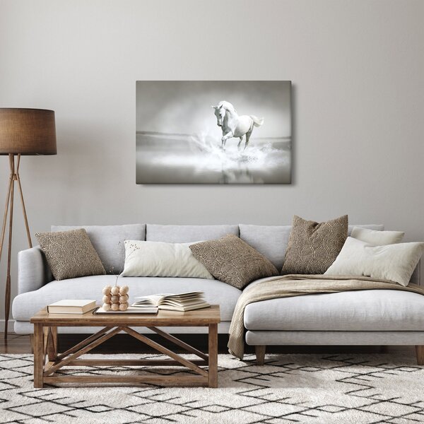Tablou - Cal alb (90x60 cm)
