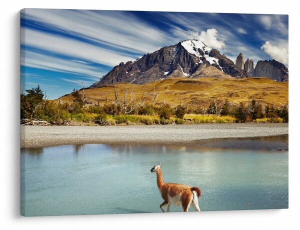 Tablou - Parcul Național Torres del Paine (70x50 cm)
