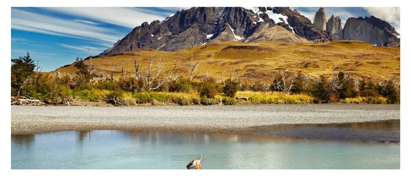Tablou - Parcul Național Torres del Paine (120x50 cm)