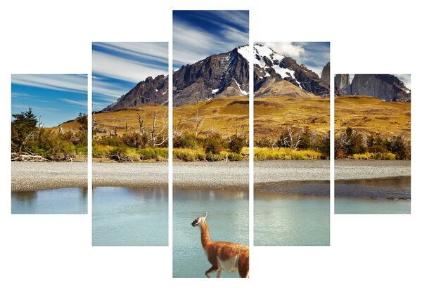Tablou - Parcul Național Torres del Paine (150x105 cm)