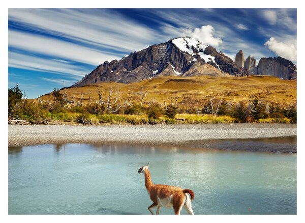 Tablou - Parcul Național Torres del Paine (70x50 cm)