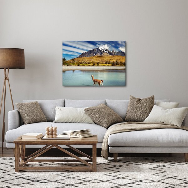 Tablou - Parcul Național Torres del Paine (70x50 cm)
