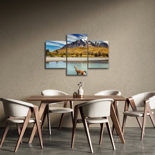 Tablou - Parcul Național Torres del Paine (90x60 cm)