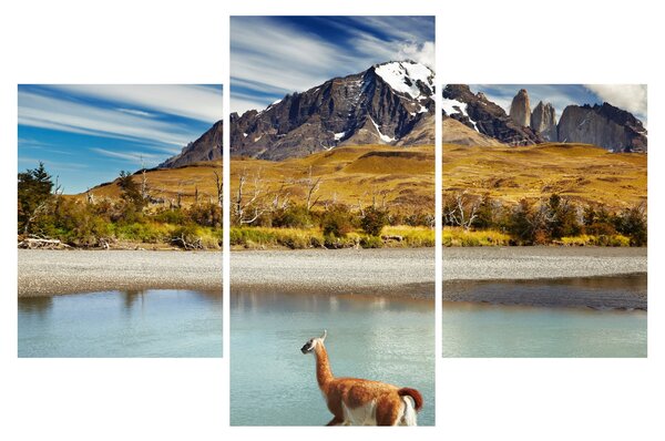 Tablou - Parcul Național Torres del Paine (90x60 cm)
