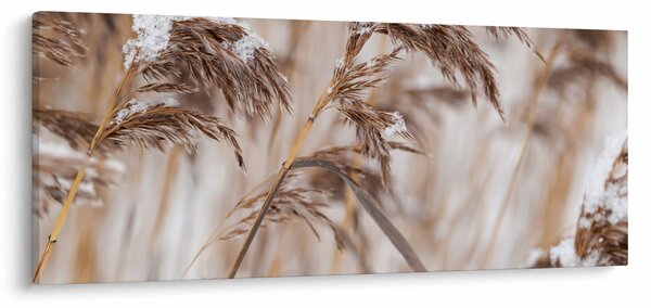 Tablou - Tei (120x50 cm)