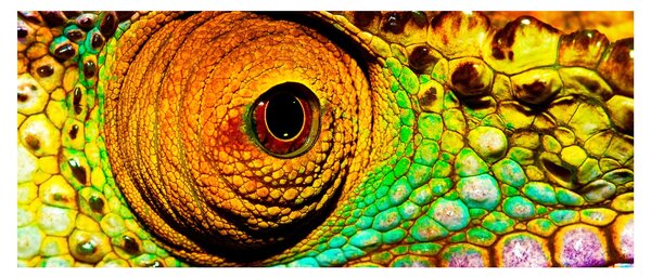 Tablou - Cameleon (120x50 cm)