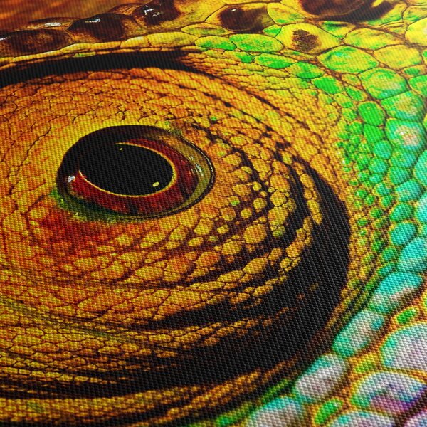 Tablou - Cameleon (90x60 cm)