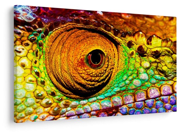 Tablou - Cameleon (90x60 cm)