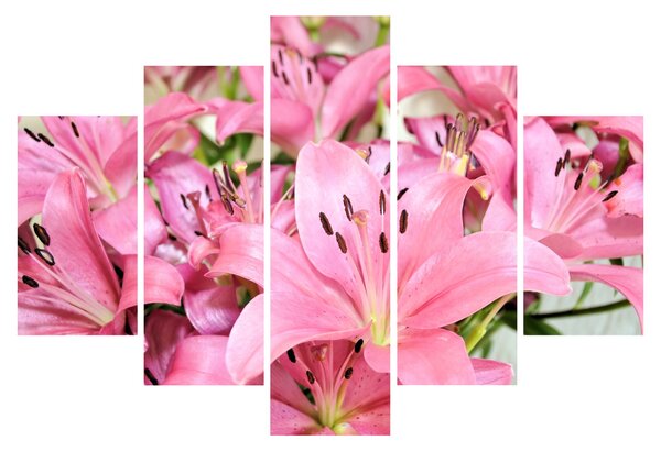 Tablou - Liliac roz (150x105 cm)