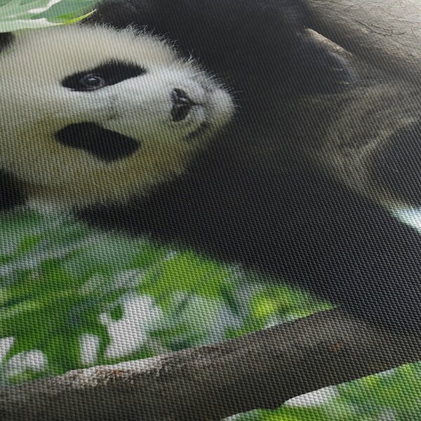 Tablou - Panda in copac (cu ceas) (90x30 cm)