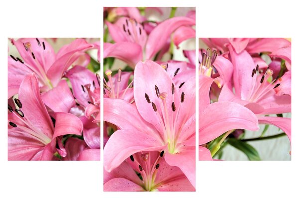 Tablou - Liliac roz (90x60 cm)