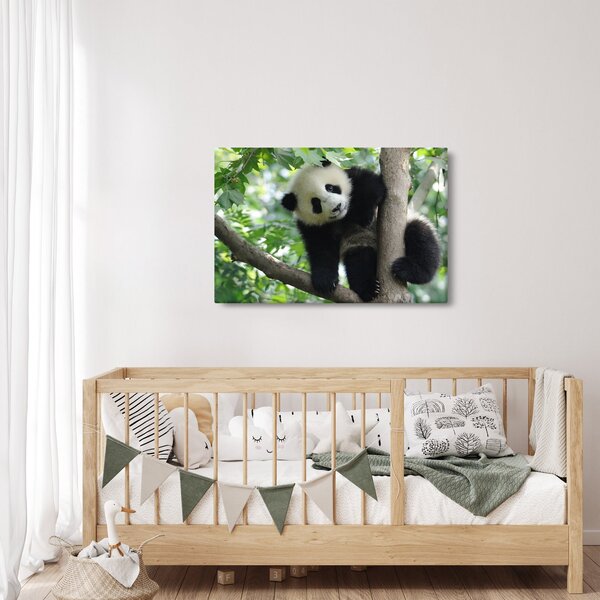 Tablou - Panda in copac (90x60 cm)