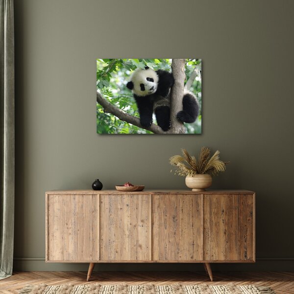 Tablou - Panda in copac (70x50 cm)