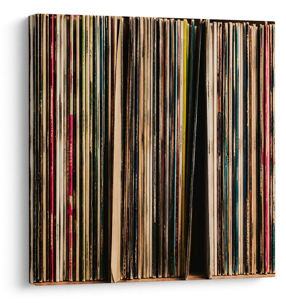 Tablou cotoare colorate de albume