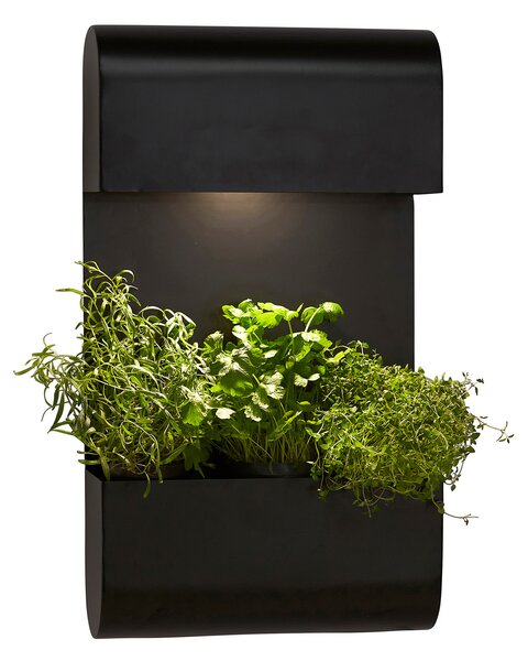 PR Home Planta aplică exterior cu ghiveci de flori, Negru, Metal, Scandinavă