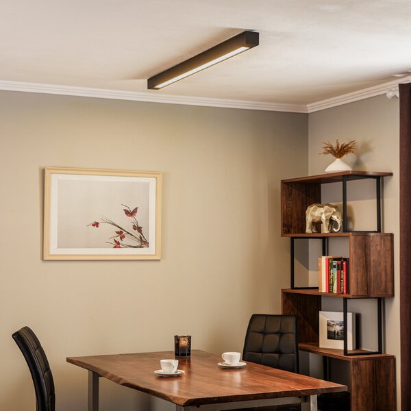 Eko-Light Plafonieră Lungo, negru, lungime 124 cm, reglabil, Negru, Camera de zi / sufragerie, Metal, Modern