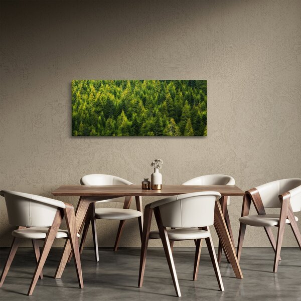 Tablou - Pădure deasă (120x50 cm)