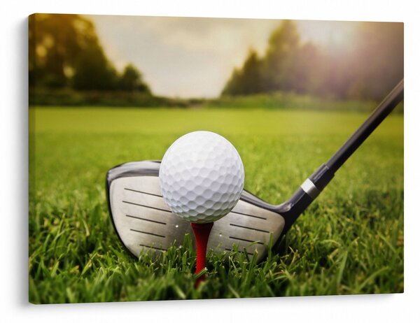 Tablou - Golf (70x50 cm)