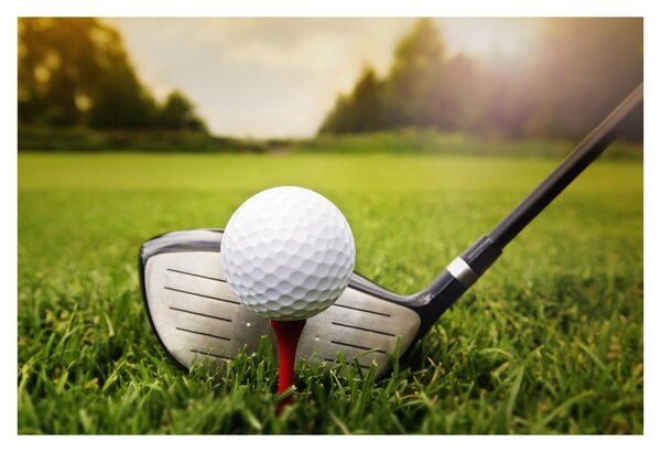 Tablou - Golf (90x60 cm)
