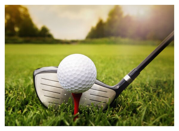 Tablou - Golf (70x50 cm)
