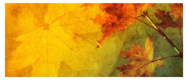 Tablou - Frunze de toamnă (120x50 cm)