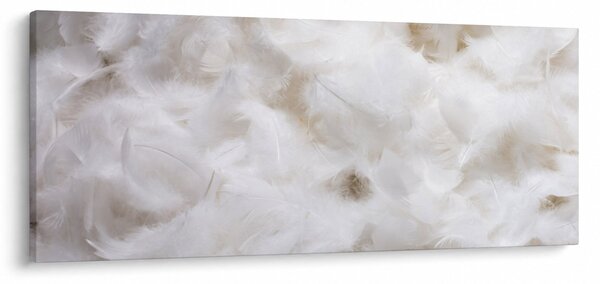 Tablou - Pene albe (120x50 cm)
